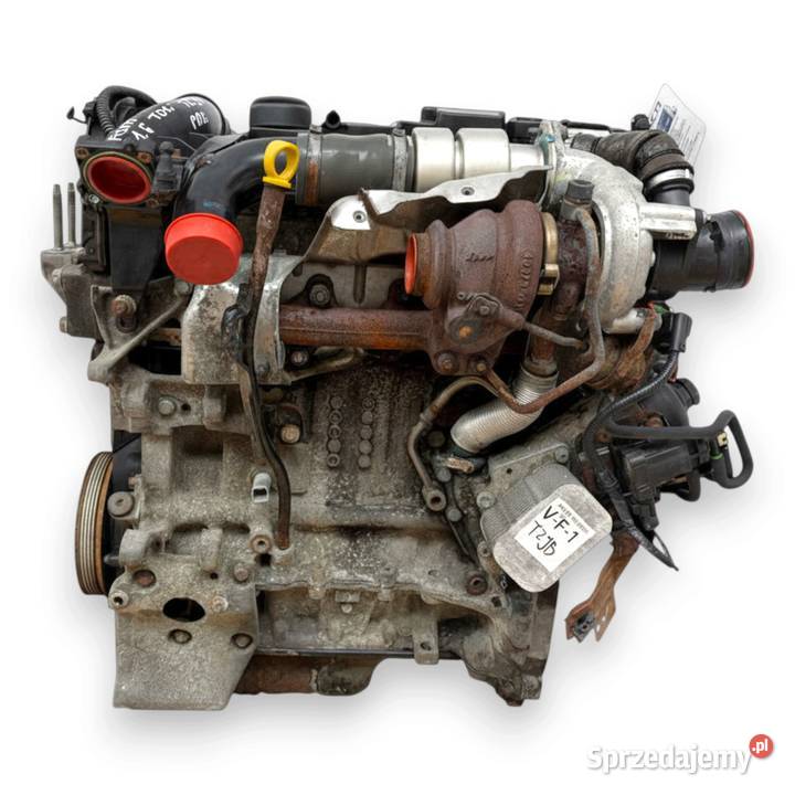 SILNIK TZJB Ford Fiesta VI VII MK7 16 TDCI 95 Chełm