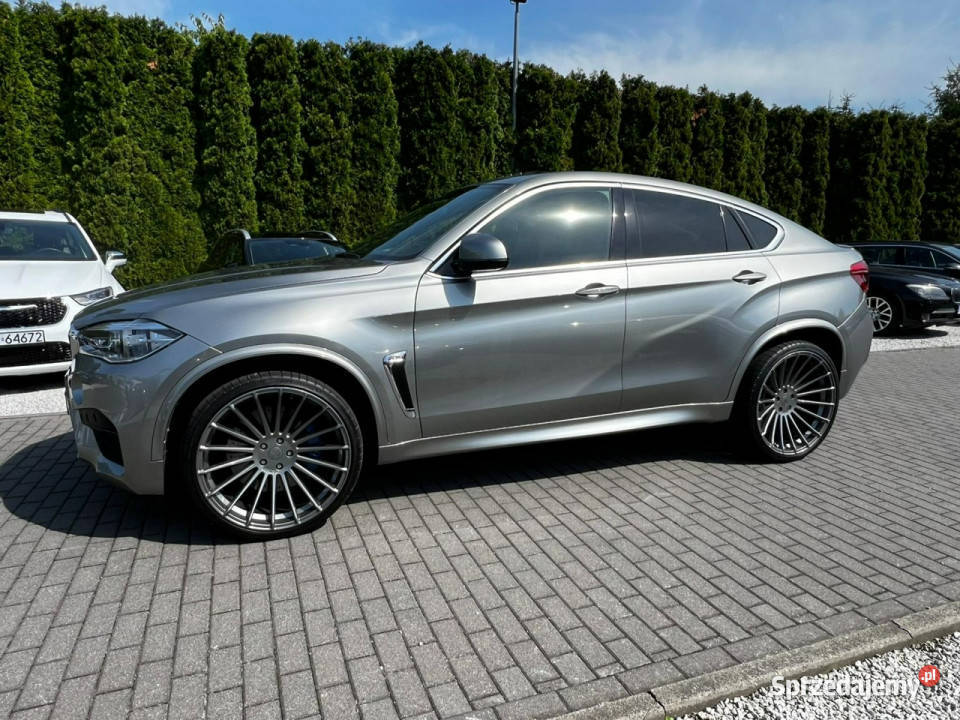 BMW X6 M50 Salon Polska Pakiet Hamman Bezwypadek wielofunkcyjna kierownica Baranowo