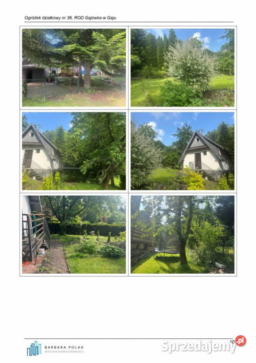 Syndyk sprzeda przeniesienie ogółu praw i Gaj