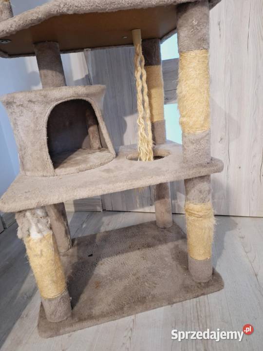 Drapak kota zadbanyduzy Dla kotów Zwierzęta warmińsko-mazurskie Braniewo