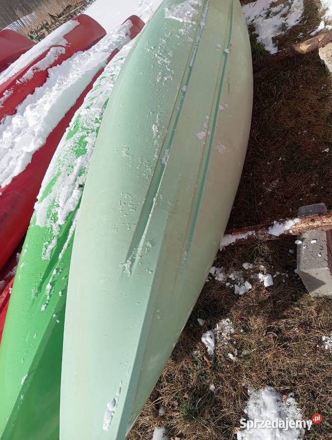 Caribou podlaskie Suwałki