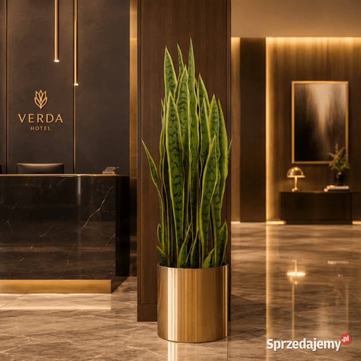 Sztuczna sansevieria w doniczce 90 małopolskie