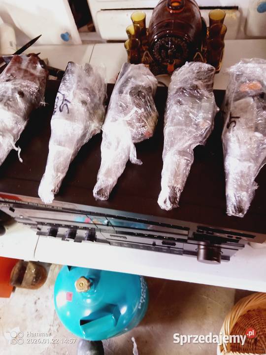 Nowe aparaty zapłonowe do Fiata 126p