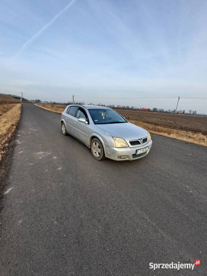 Opel Signum Rok produkcji 2003 wielkopolskie Nagradowice