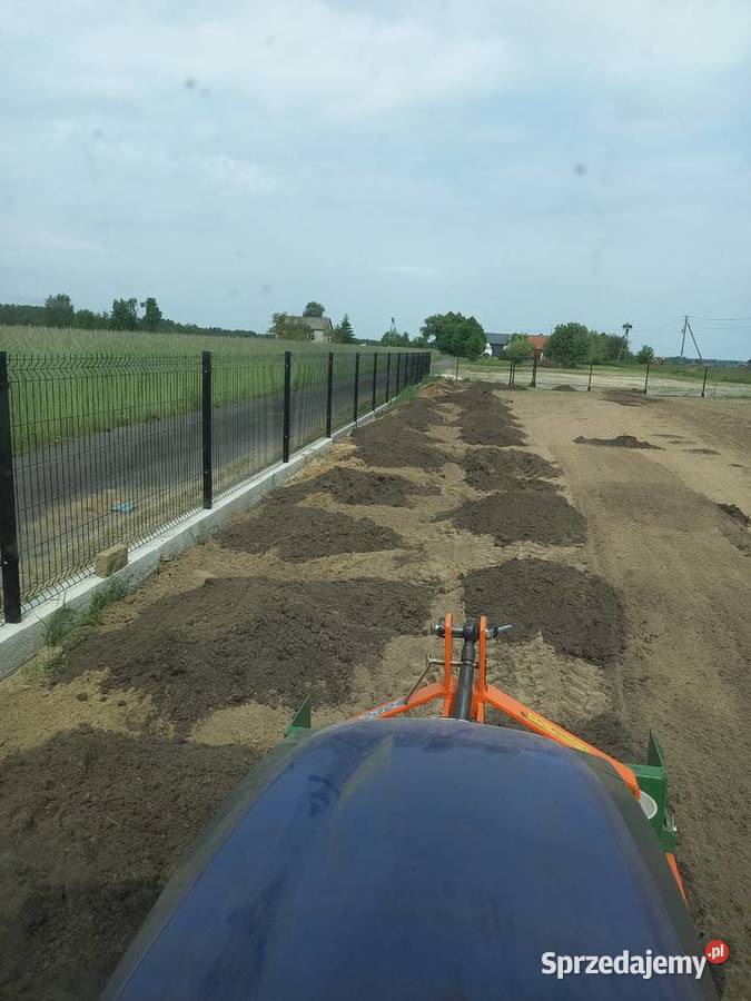 Zakładanie trawnika przygotowanie terenu siew Żyrzyn prace ogrodowe