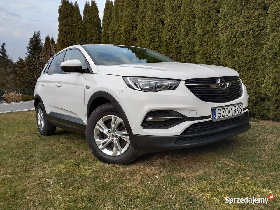 Opel Grandland zadbany bezwypadkowy Żory