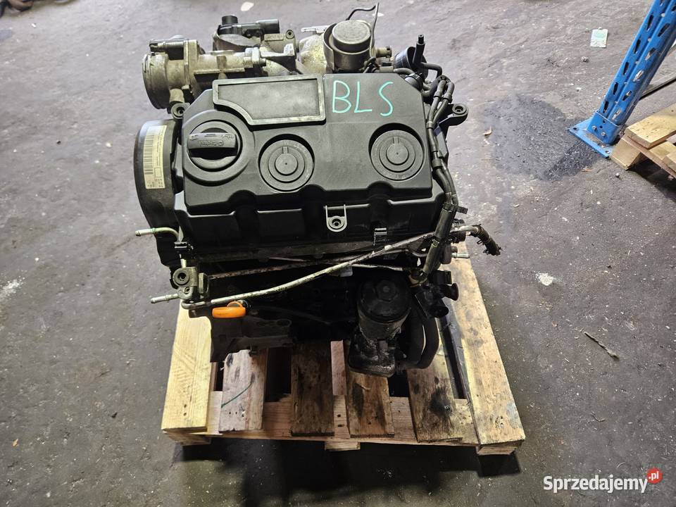 Uszkodzony Silnik VW BLS 19 TDI 105 dolnośląskie Zgorzelec
