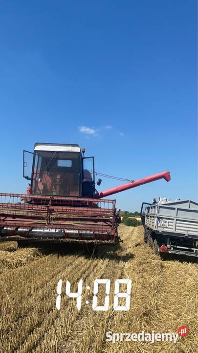 Bizon Opatów sprzedam