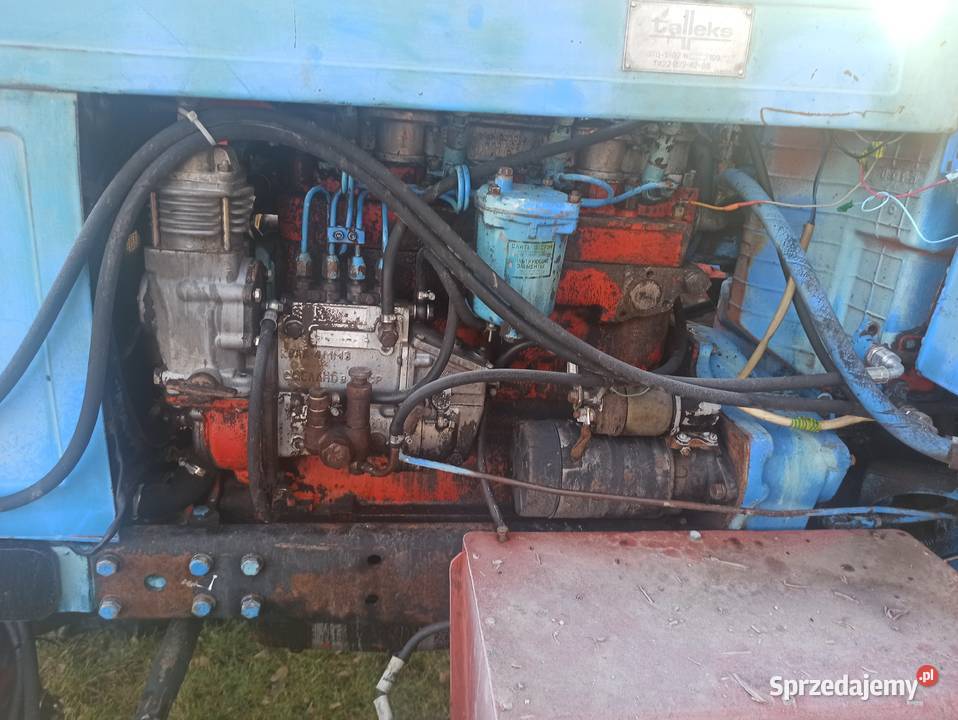 Sprzedam MTZ 82 TS 95 Hrubieszów
