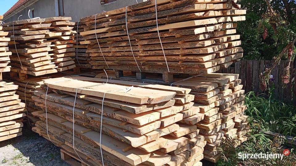 tarcica brzoza jesion buk dąb Świdnica Polska