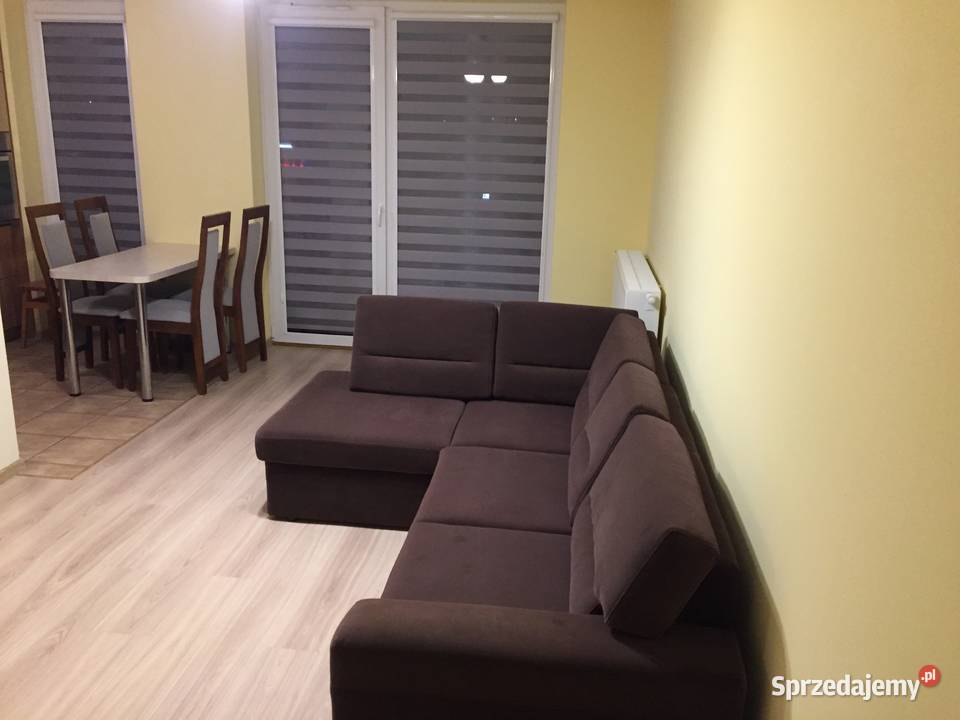 Mieszkanie do wynajęcia super okolica antresola Albigowa