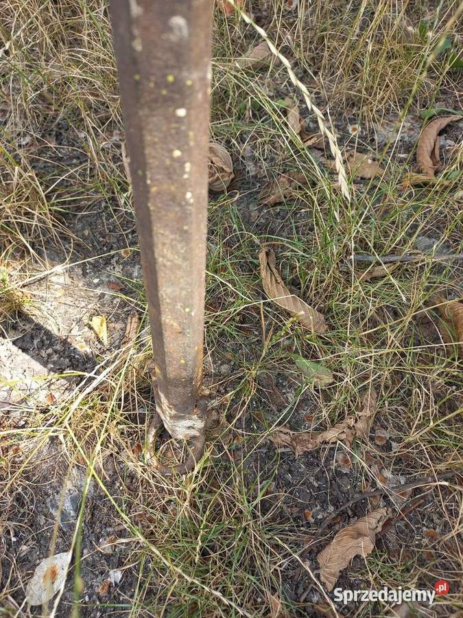 Łom budowlany Warszawa