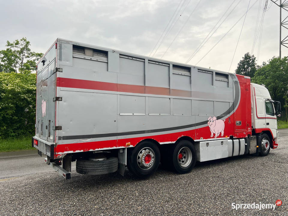 Volvo ciezarowkado przewozu zwierzat 12000cm3 Warszawa