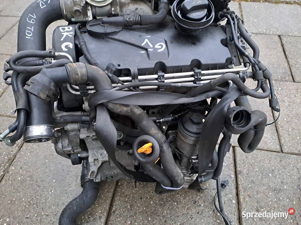 Volkswagen Golf V 19 TDi 105 skrzynia biegów kod Rok produkcji 2006 Jastrzębie-Zdrój