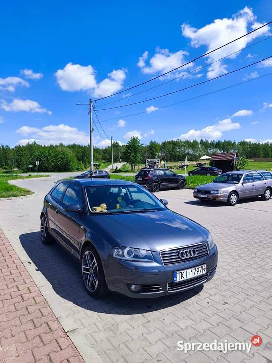 Audi A3 8P 2003r 1968cm3 świętokrzyskie Bodzentyn