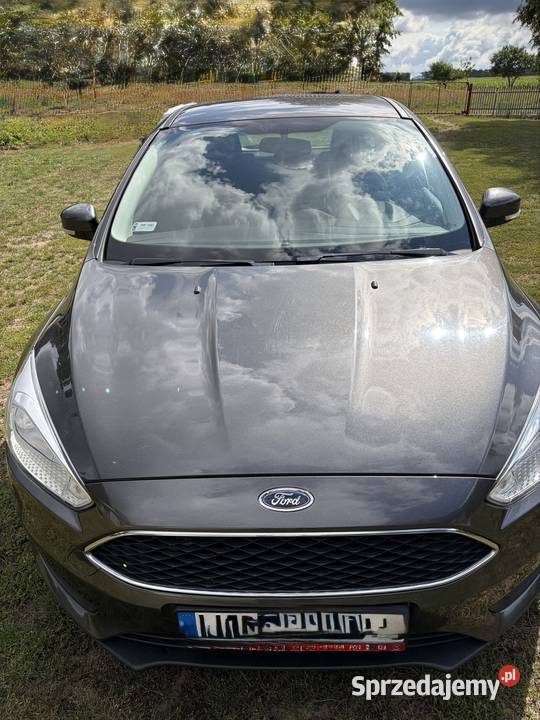 Ford Focus 2016 1596m3 nieuszkodzony Focus mazowieckie Wodynie