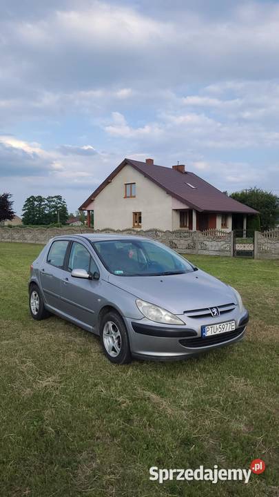 Peugeot 307 zadbany 7lat w jednych rękach wielkopolskie Turek