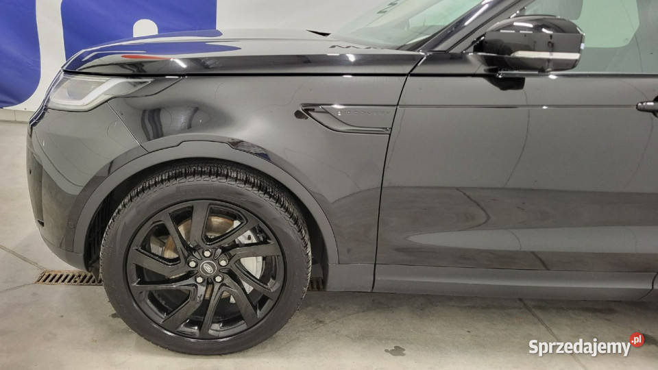Land Rover Discovery V 30 D250 mHEV S V 2017 światła przeciwmgielne mazowieckie Grójec