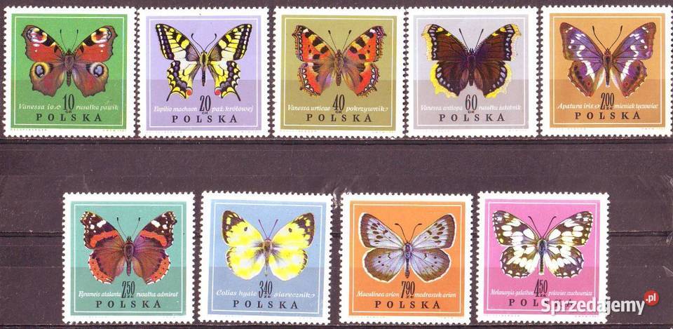 zn Fi 1650 8 1967 Gliwice