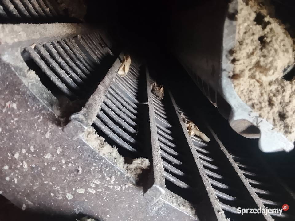 Case 521 MDW Holland Choszczów sprzedam