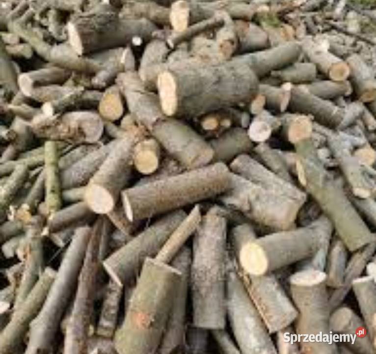 Gałęziówka Buk I Drewno Kominkowe Dąb Buk Grab lubuskie Gorzów Wielkopolski