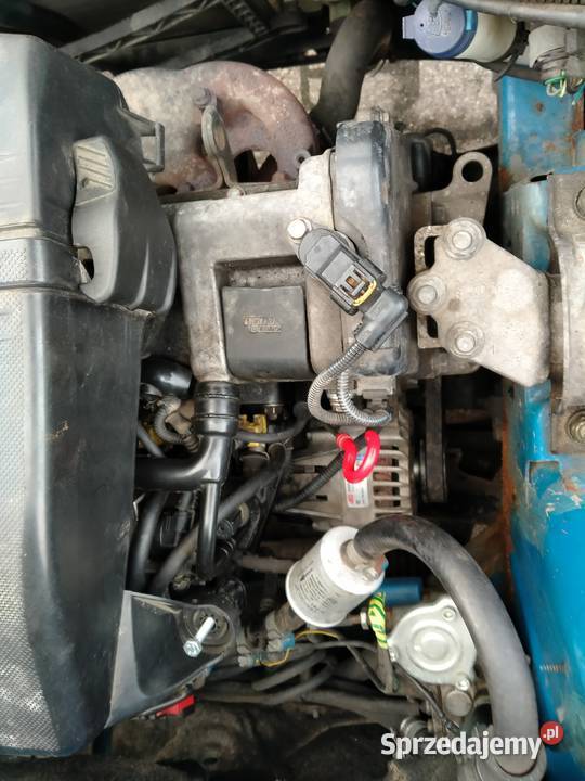 Fiat panda Actual 2004 USZCZELKA POD GŁOWICĄ