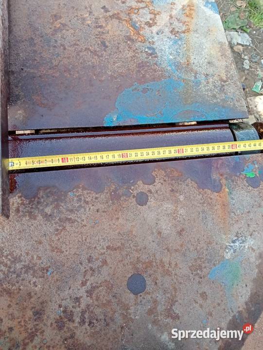 Heblarka grubościówka Wielkolas