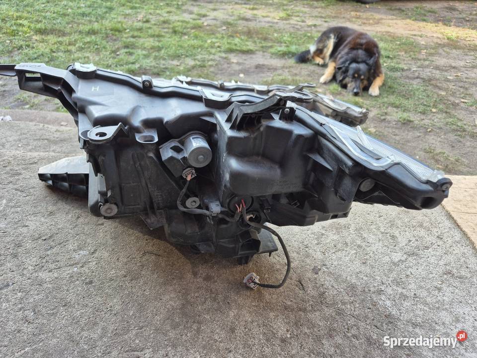 Toyota Land Cruiser J150 Lampy przednie Rok produkcji 2020 Pionki