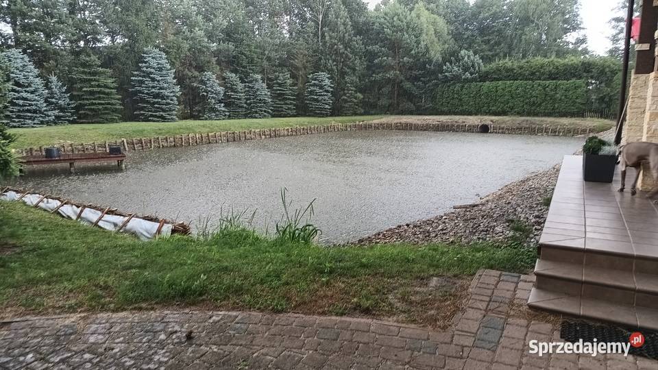 Faszynowanie stawów Grębków