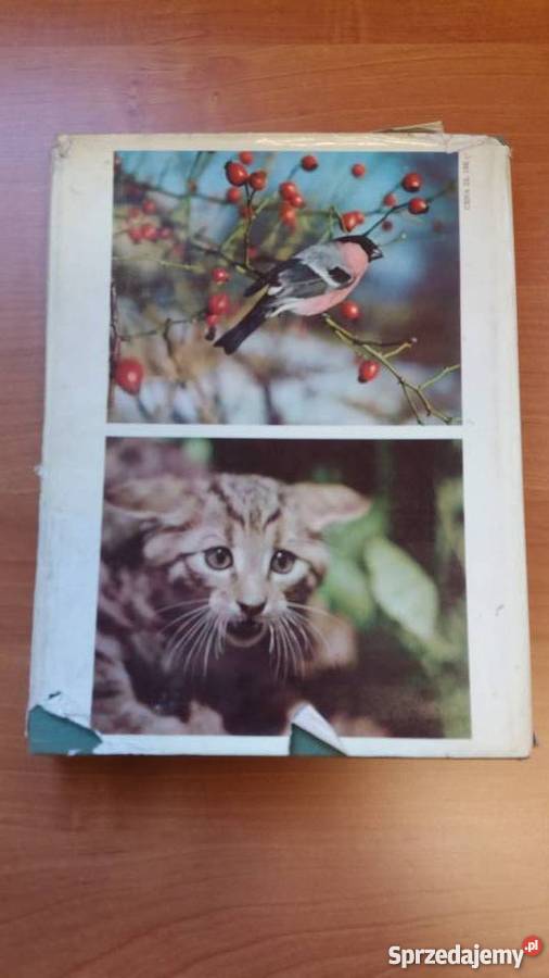 ALBUM Polowanie z kamerą Jaroslav Holeek fotografia, edycja zdjęć wielkopolskie Złotniki