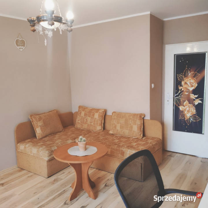 oferuję do wynajęcia pokój jednoosobowy Zielona Góra