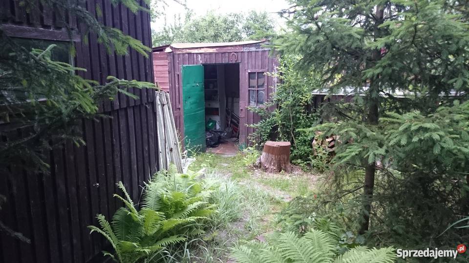 Ogródek działkowy ROD Pilczyce Hutnicza Wrocław