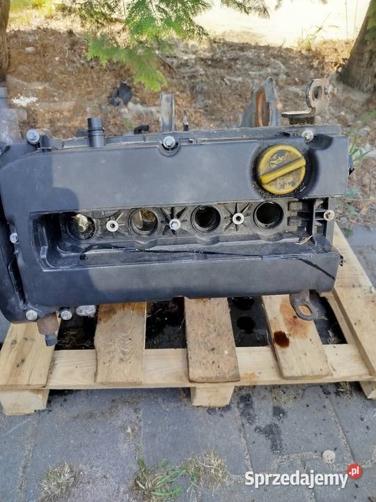 Uszkodzony silnik Opel Zafira b 2008 wielkopolskie Bralin