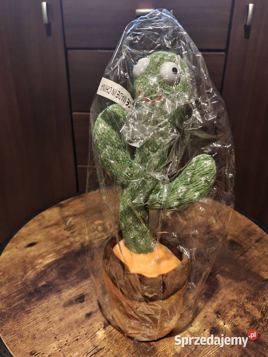 Tańczące maskotki kaktusyhuggy wuggy Maskotki dolnośląskie