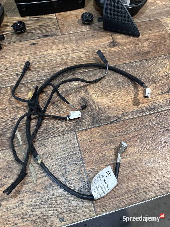 Radio Nawigacja z Wyświetlaczem Głośniki Wyposażenie wnętrza Smerdyna