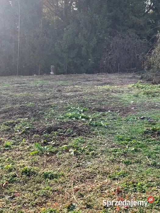 Ostatnia działka lesiesuper brak szkód śląskie Jastrzębie-Zdrój