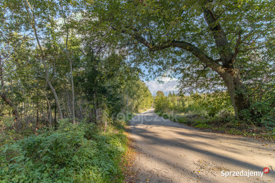 sprzedaży gruntu Choczewo Jeziorna 3014m2 sprzedam