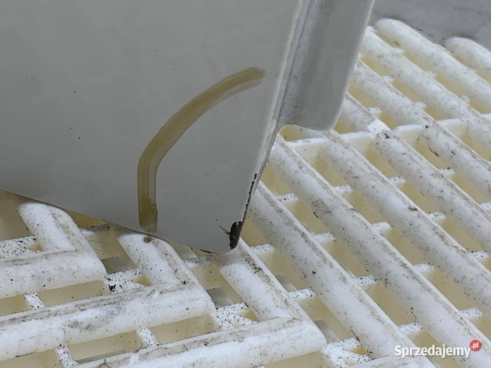 DRZWI PRAWY TYŁ CITROEN C1 Hatchback 0514 BIAŁY osobowe