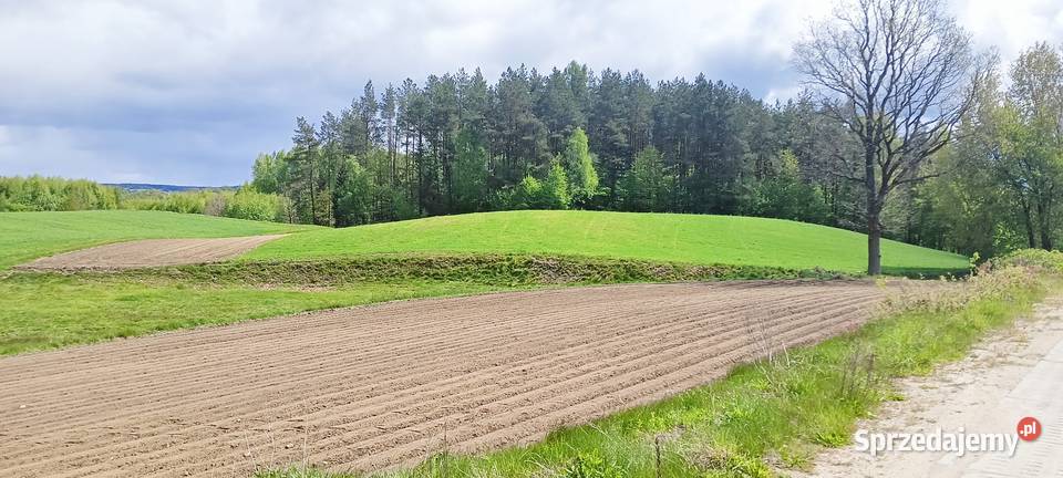 Ciekawa działka w Donimierzu k Szemudu pomorskie sprzedam