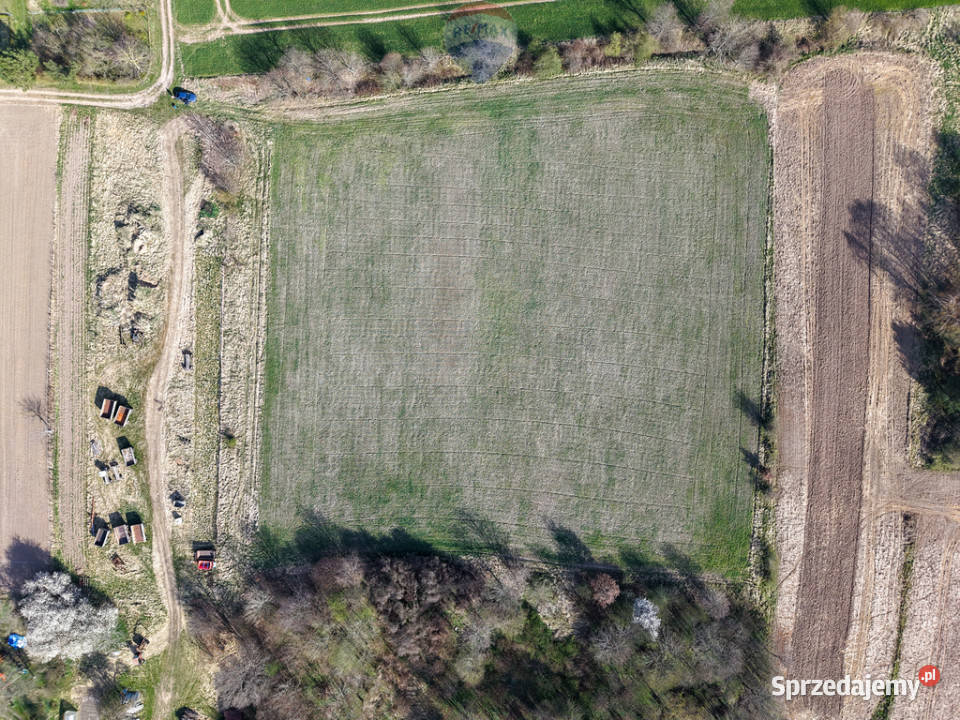 Działka 3000 m2 z potencjałem Gorzyca utwardzona Górzyca