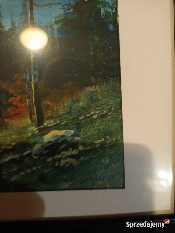 Wiosna morskim okiem 2 obrazy seria Bielsko-Biała sprzedam