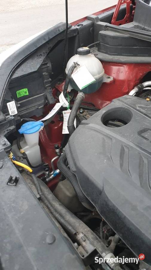 KIA Sportage 16 CRDI Automat 7 DCT pierwszy lubelskie Tarnogród