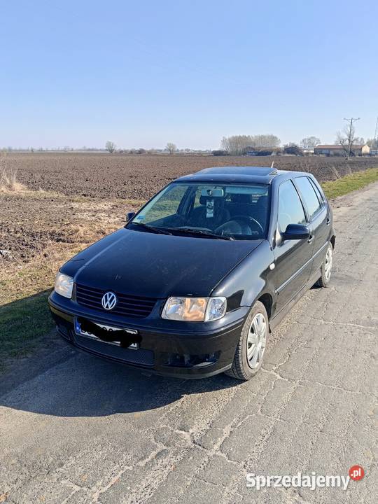 Volkswagen Polo Polo Wiązów