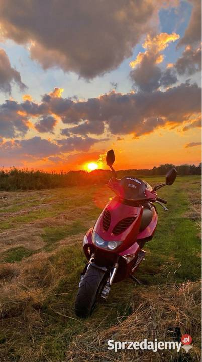 Aprilia sr 50 50cm3 Biała Podlaska