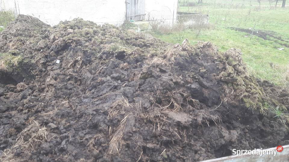 Sprzedam obornik Giżycko sprzedam