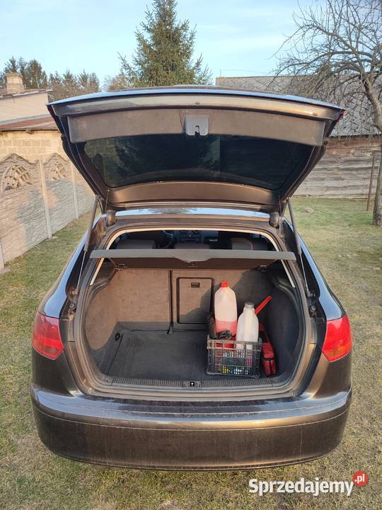 Audi A3 8p hatchback 20 TDI Dudki