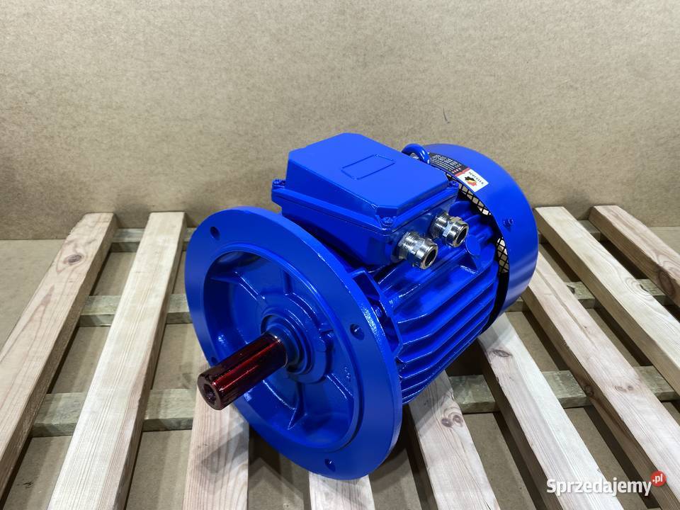 silnik elektryczny 55kW 2930obr 3fazowy INDUKTA Pigża