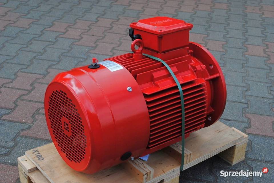 Silnik elektryczny kołnierzowy 22kw 2945obrmin lubuskie sprzedam