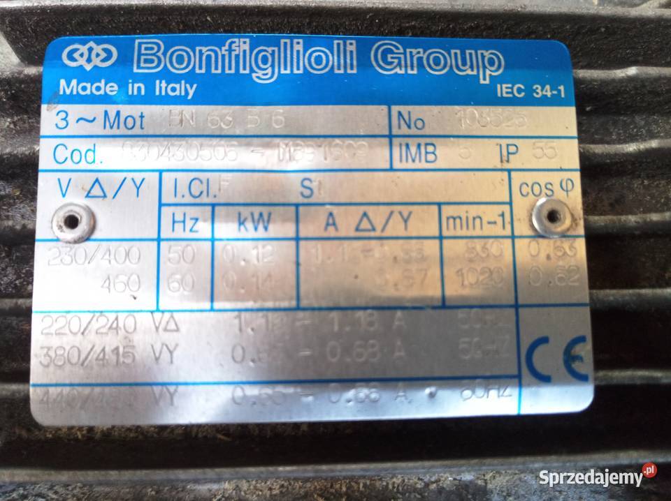 DAlessandro Termomeccanica CSIG 18 silnik Dom i Ogród Niesłabin sprzedam