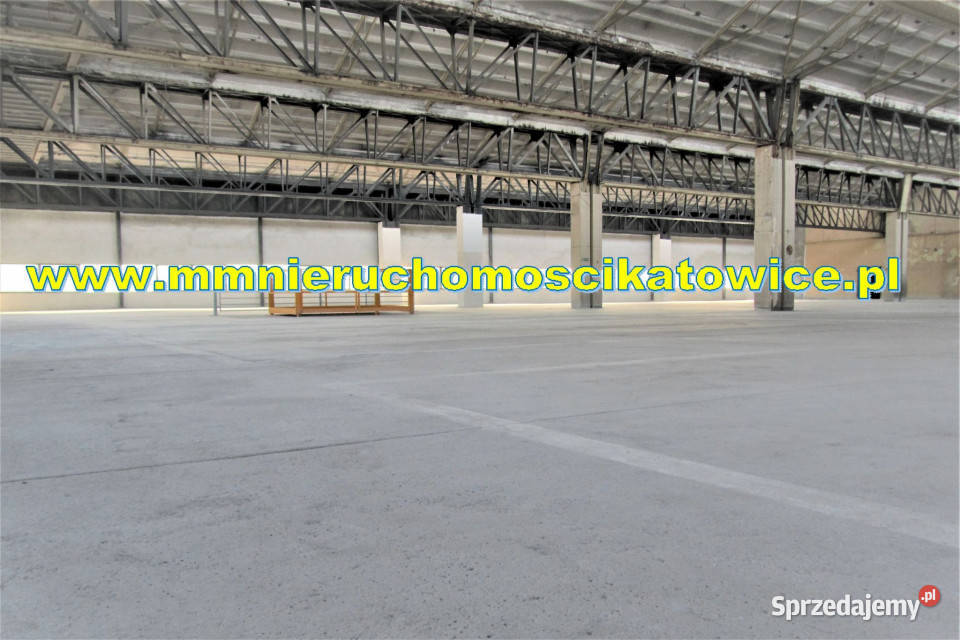 Powierzchnie magazynowe 200 2000 m2 do wynajęcia śląskie Będzin